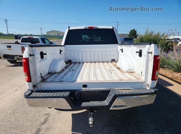 1FTFX1EF3GKE85841 2016 FORD F150 White Вид ззаду