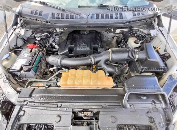 1FTFX1EG0HFB77268 2017 FORD F150 Белый Вид задней части салона