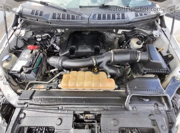 1FTFX1EG0HFB77268 2017 FORD F150 Белый 