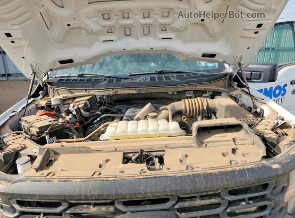 1FTFX1L54RKD31426 2024 FORD F150 White Вид задньої частини салону