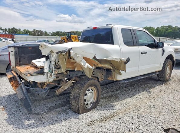 1FTFX1L54RKD85891 2024 FORD F150 Белый Задняя правая четверть