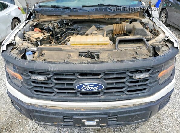 1FTFX1L54RKD85891 2024 FORD F150 Белый Вид задней части салона