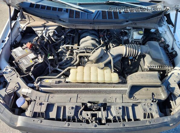 1FTFX1L58RKD13351 2024 FORD F150 White უკანა სალონის ხედი
