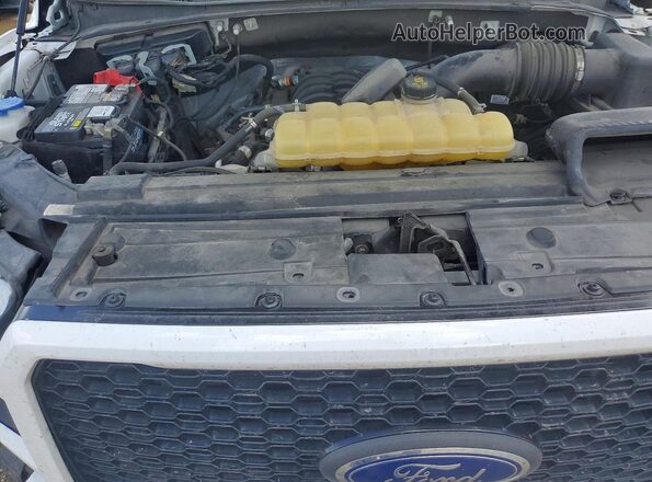 1FTMF1C51LKD98356 2020 FORD F150 White Սալոնի հետևի տեսք