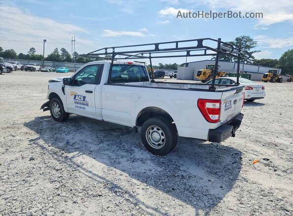 1FTMF1C53PKF16073 2023 FORD F150 White უკანა მარცხენა