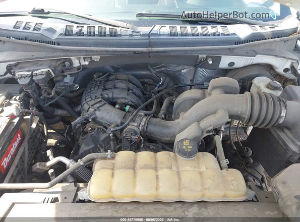 1FTMF1C81HKD51586 2017 FORD F150 Белый Вид сзади