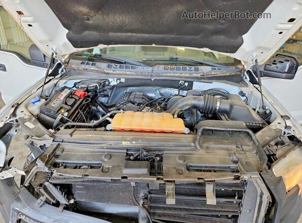 1FTMF1C83GFA98231 2016 FORD F150 White Вид задньої частини салону