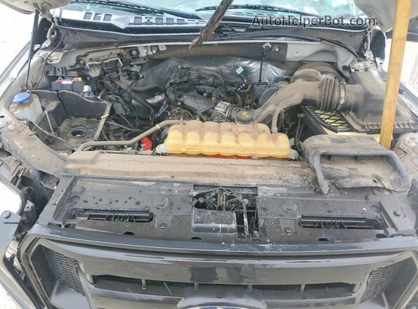 1FTMF1C85HFB62626 2017 FORD F150 Silver Սալոնի հետևի տեսք