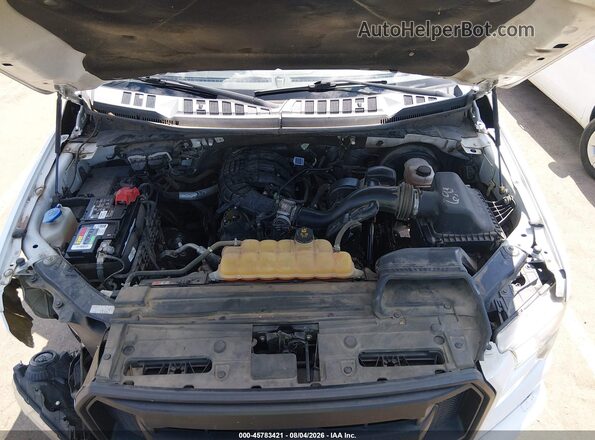 1FTMF1C87GKD36833 2016 FORD F150 Белый Вид сзади