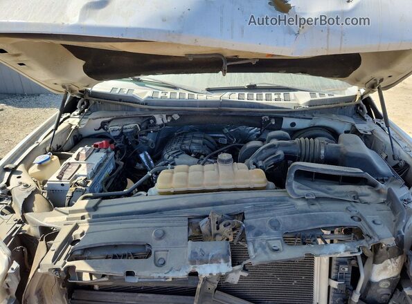 1FTMF1C8XGKD05043 2016 FORD F150 White უკანა სალონის ხედი