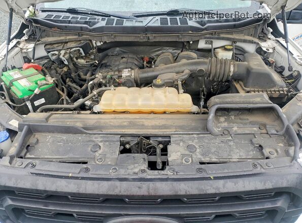 1FTMF1CB0MKD71897 2021 FORD F150 Белый Вид задней части салона