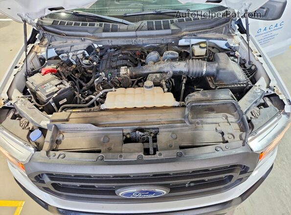 1FTMF1CB1MKE76870 2021 FORD F150 Белый Вид задней части салона