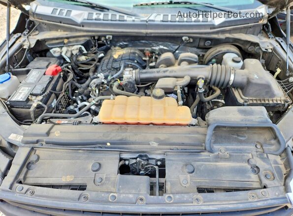 1FTMF1CB3JKE63808 2018 FORD F150 Black უკანა სალონის ხედი