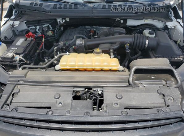 1FTMF1CB4KKF01094 2019 FORD F150 White Вид задньої частини салону