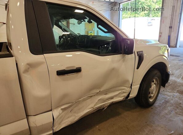 1FTMF1CB5PKE33119 2023 FORD F150 Белый Вид задних сидений
