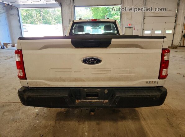 1FTMF1CB5PKE33119 2023 FORD F150 Белый Вид сзади