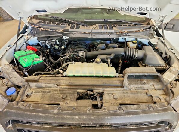 1FTMF1CB5PKE33119 2023 FORD F150 Белый Вид задней части салона