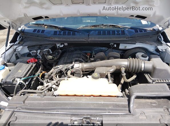 1FTMF1CB6KKC41782 2019 FORD F150 White Rear view