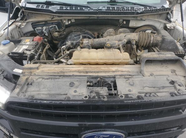 1FTMF1CB6KKE52125 2019 FORD F150 White Widok wnętrza z tyłu