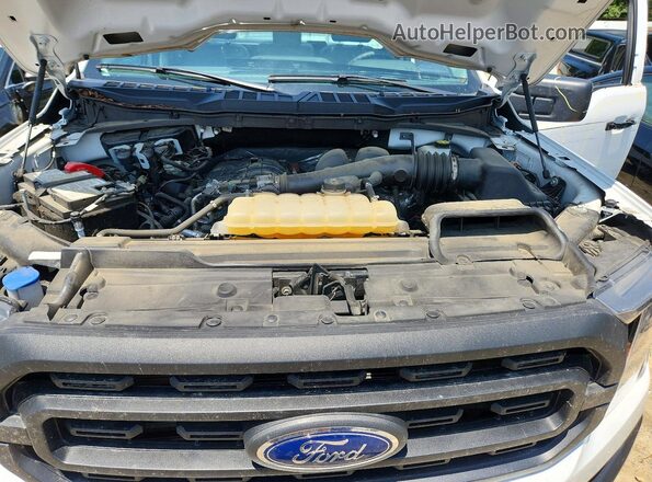 1FTMF1CB6PKE91255 2023 FORD F150 Белый Вид задней части салона