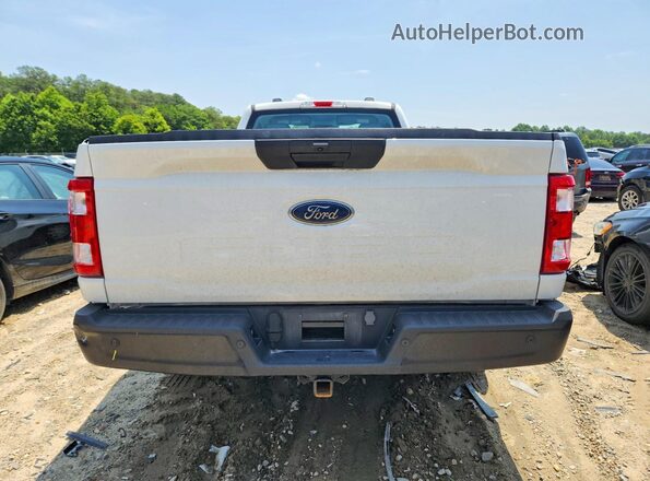 1FTMF1CB6PKE91255 2023 FORD F150 Белый Вид сзади