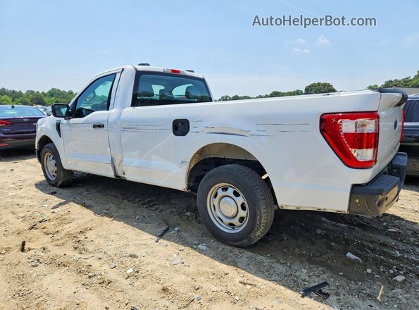 1FTMF1CB6PKE91255 2023 FORD F150 Белый Задняя левая четверть