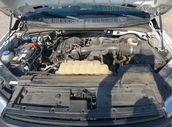 1FTMF1CB7JKF29518 2018 FORD F150 White Սալոնի հետևի տեսք