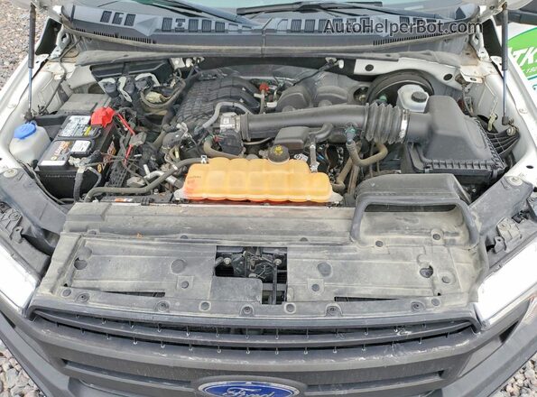 1FTMF1CB8JKC63457 2018 FORD F150 White Widok wnętrza z tyłu