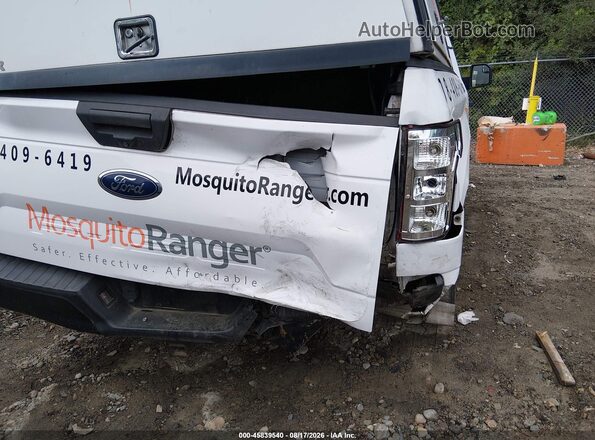 1FTMF1CB8KKD10570 2019 FORD F150 White Widok z przodu