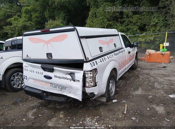 1FTMF1CB8KKD10570 2019 FORD F150 White Tył prawy