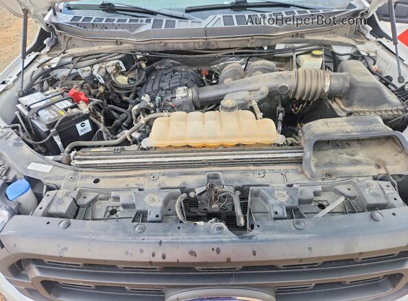 1FTMF1CB8NKE11516 2022 FORD F150 White Սալոնի հետևի տեսք