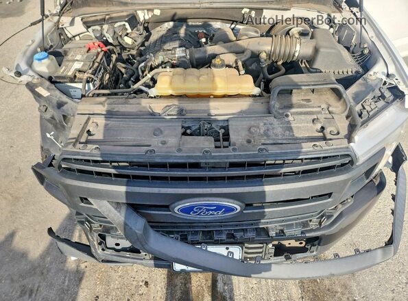 1FTMF1CB9LFA60718 2020 FORD F150 Белый 