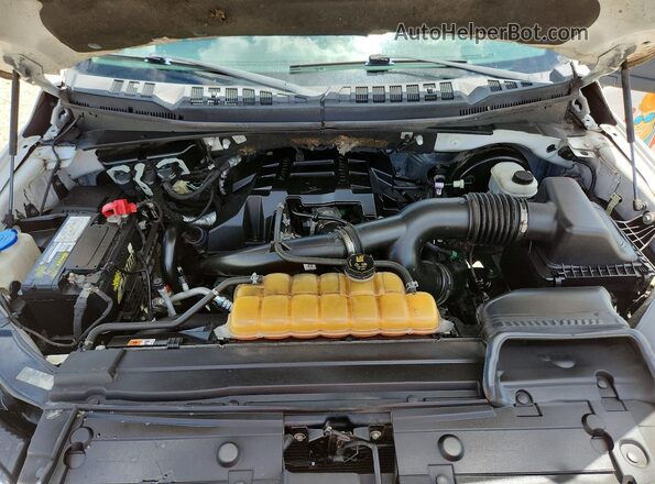 1FTMF1CP0JKD23369 2018 FORD F150 White უკანა სალონის ხედი