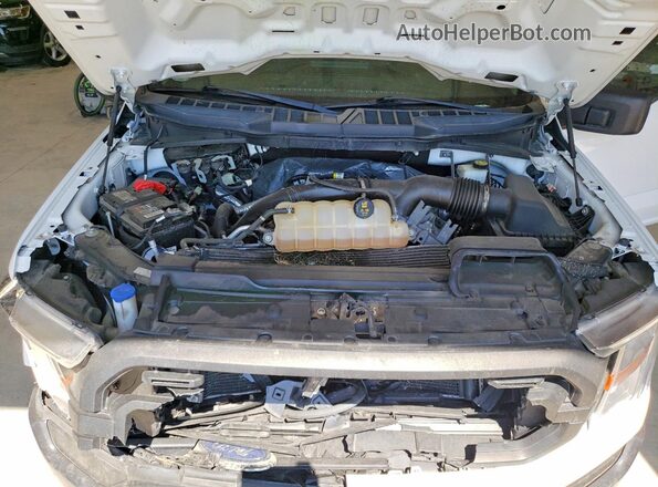 1FTMF1CP3MKE66045 2021 FORD F150 Белый Вид задней части салона
