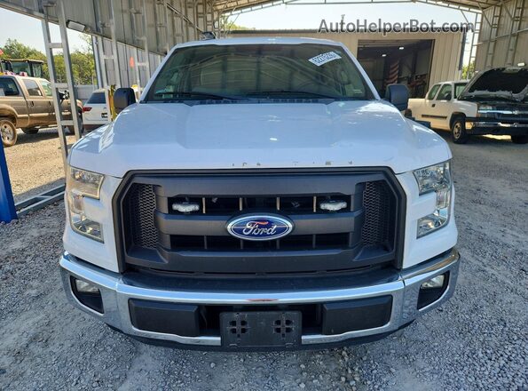 1FTMF1CP8GKE06847 2016 FORD F150 White Widok z przodu