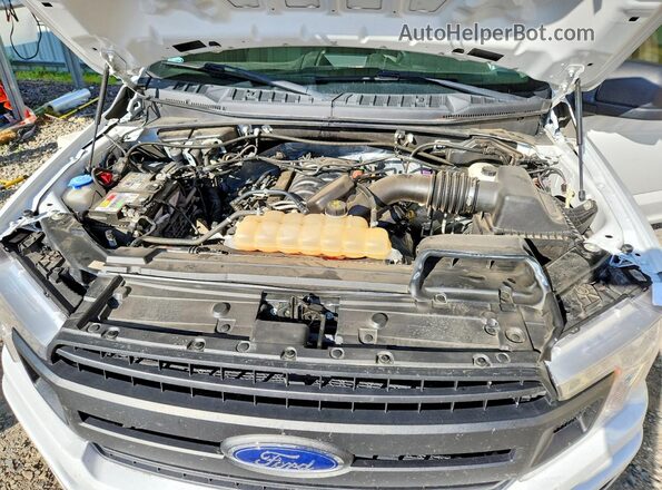1FTMF1E50JKF49343 2018 FORD F150 Белый Вид задней части салона
