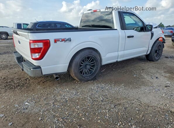 1FTMF1E50PKF35435 2023 FORD F150 White Tył prawy