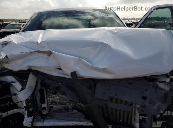 1FTMF1E50PKF35435 2023 FORD F150 White Widok wnętrza z tyłu