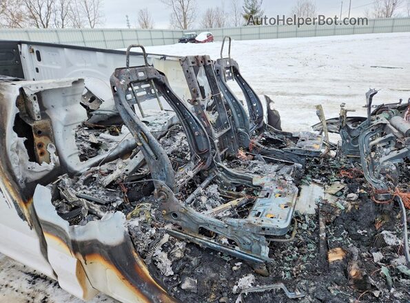 1FTMF1E58KKC90778 2019 FORD F150 Белый Вид задних сидений