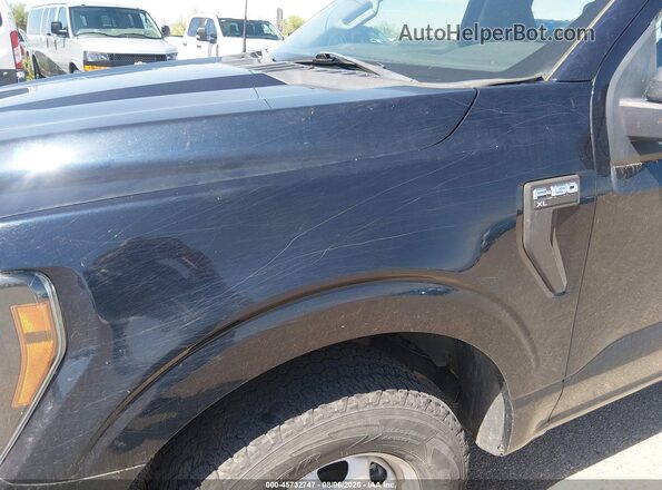 1FTMF1EB1PKD35265 2023 FORD F150 Blue Вид задньої частини салону
