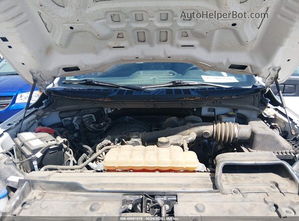1FTMF1EB5MKD87929 2021 FORD F150 White Rear view