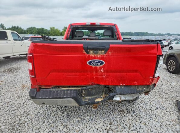 1FTMF1EB9KKC92402 2019 FORD F150 Красный Вид сзади