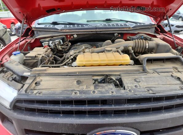 1FTMF1EB9KKC92402 2019 FORD F150 Красный Вид задней части салона