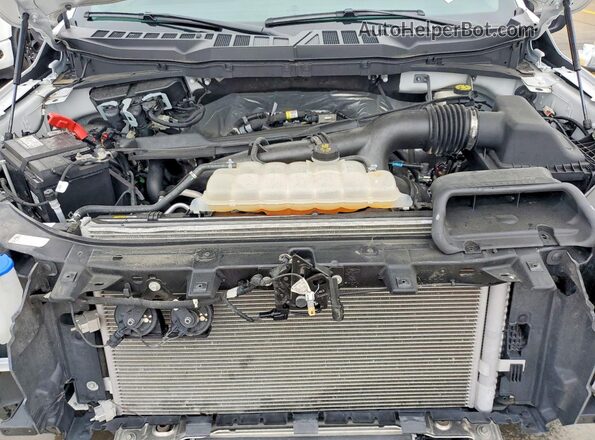 1FTMF1EP6PKE87165 2023 FORD F150 White Vista interior trasera