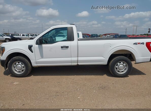 1FTMF1EP8PKD16868 2023 FORD F150 Белый Панорамный вид салона 360°