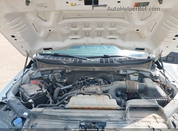 1FTMF1EP8PKD16868 2023 FORD F150 Белый Вид сзади