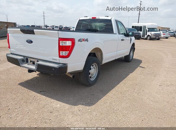 1FTMF1EP8PKD16868 2023 FORD F150 Белый Задняя правая четверть
