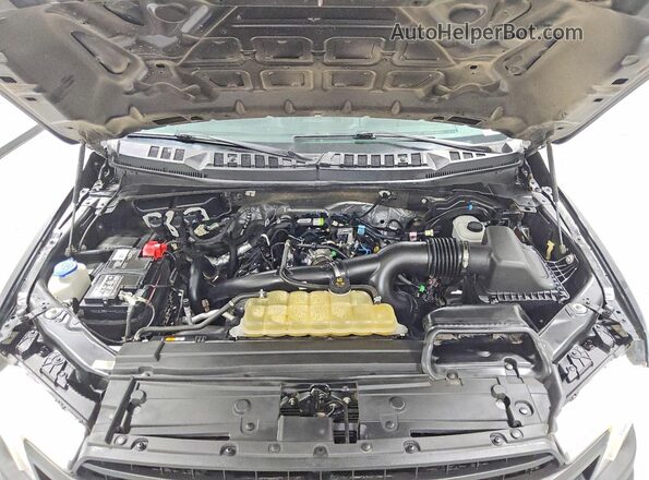1FTMF1EP9LKE09229 2020 FORD F150 Черный Вид задней части салона