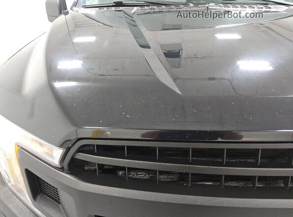 1FTMF1EP9LKE09229 2020 FORD F150 Черный Панорамный вид салона 360°