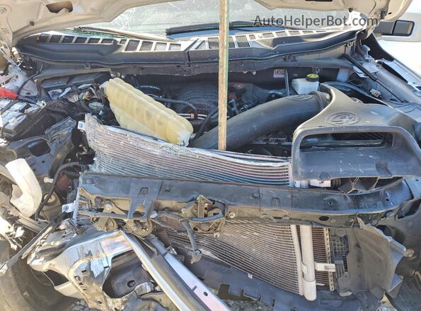 1FTMF1K53RKF44637 2024 FORD F150 Серебряный Вид задней части салона